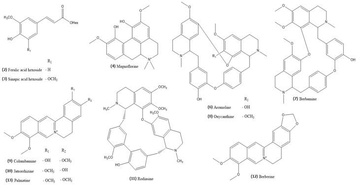 https://cdn.ncbi.nlm.nih.gov/pmc/blobs/b609/11084310/269a4d44e3b4/ijms-25-04786-g006.jpg