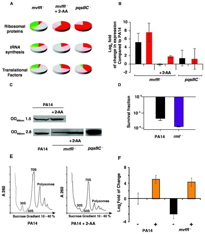 https://cdn.ncbi.nlm.nih.gov/pmc/blobs/b609/3868577/e7a697aa72d5/pone.0080140.g002.jpg