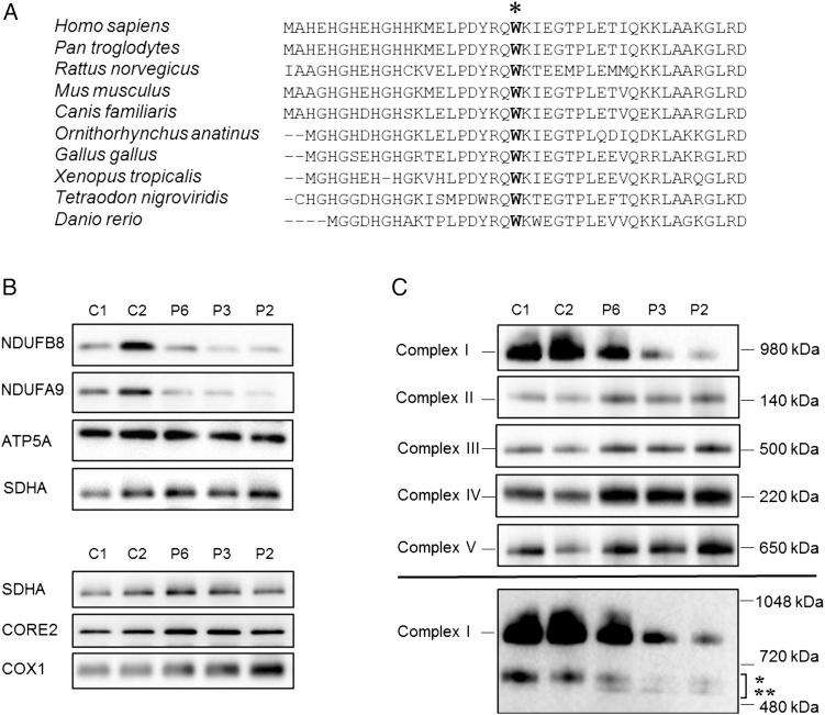 https://cdn.ncbi.nlm.nih.gov/pmc/blobs/b60a/5013090/6f9dfc8ae2cb/jmedgenet-2015-103576f02.jpg