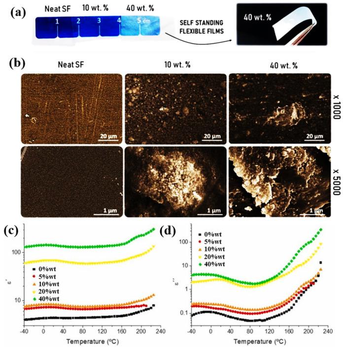 https://cdn.ncbi.nlm.nih.gov/pmc/blobs/b60a/9921423/c565b99dcd4b/polymers-15-00590-g006.jpg