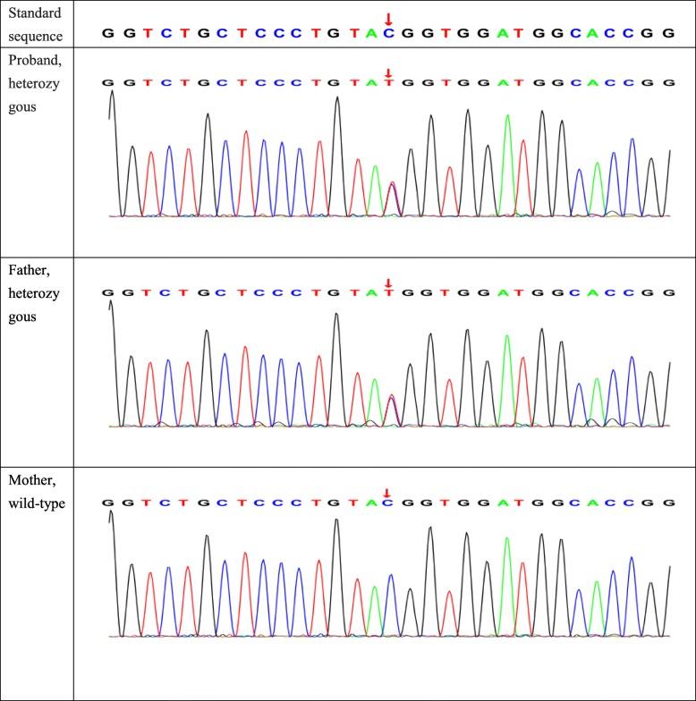 https://cdn.ncbi.nlm.nih.gov/pmc/blobs/b60b/6880477/d3495306a115/13256_2019_2304_Fig1_HTML.jpg