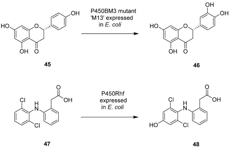 https://cdn.ncbi.nlm.nih.gov/pmc/blobs/b60b/8479775/a8d74b9549a5/au1c00251_0014.jpg
