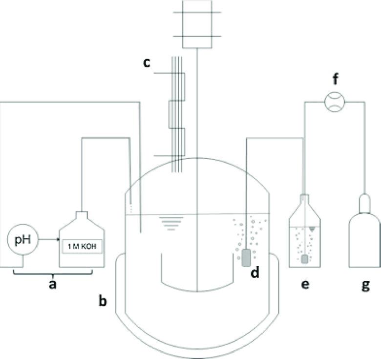 https://cdn.ncbi.nlm.nih.gov/pmc/blobs/b60b/8479775/efe336c3231a/au1c00251_0002.jpg