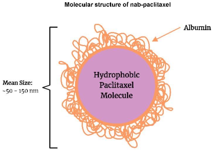 https://cdn.ncbi.nlm.nih.gov/pmc/blobs/b60e/10377238/18d32d9829cc/biomedicines-11-02000-g001.jpg