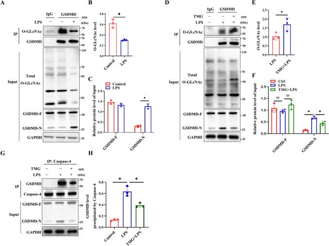 https://cdn.ncbi.nlm.nih.gov/pmc/blobs/b60e/10776498/16ac32827f3e/11_2023_1812_Fig4_HTML.jpg