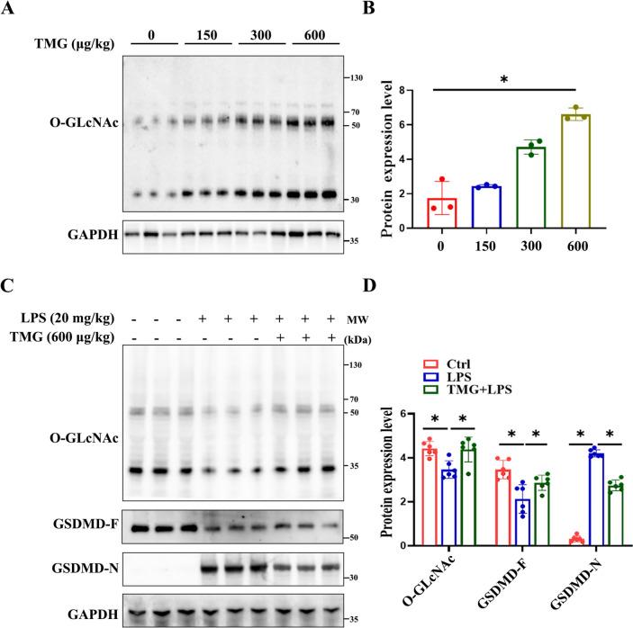 https://cdn.ncbi.nlm.nih.gov/pmc/blobs/b60e/10776498/87e80b762924/11_2023_1812_Fig2_HTML.jpg