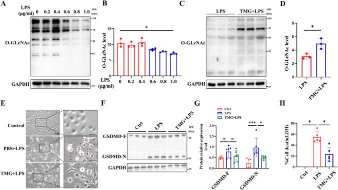 https://cdn.ncbi.nlm.nih.gov/pmc/blobs/b60e/10776498/aee198aefb2e/11_2023_1812_Fig3_HTML.jpg
