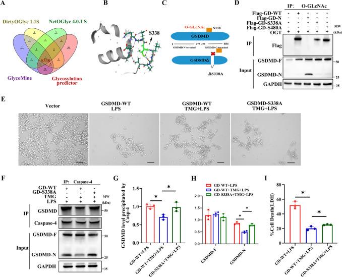 https://cdn.ncbi.nlm.nih.gov/pmc/blobs/b60e/10776498/e5803ba663ae/11_2023_1812_Fig5_HTML.jpg