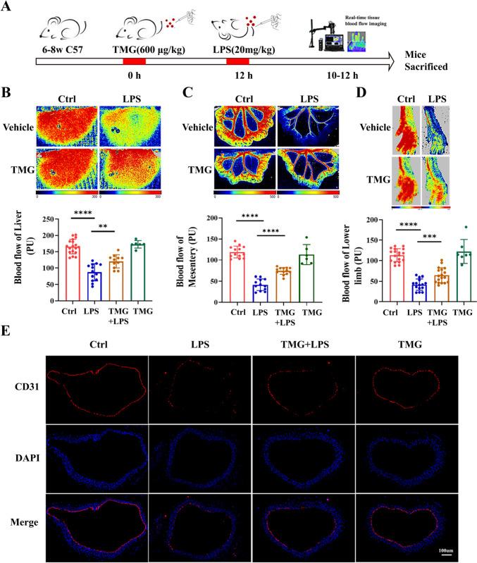https://cdn.ncbi.nlm.nih.gov/pmc/blobs/b60e/10776498/ecf09b95d918/11_2023_1812_Fig1_HTML.jpg