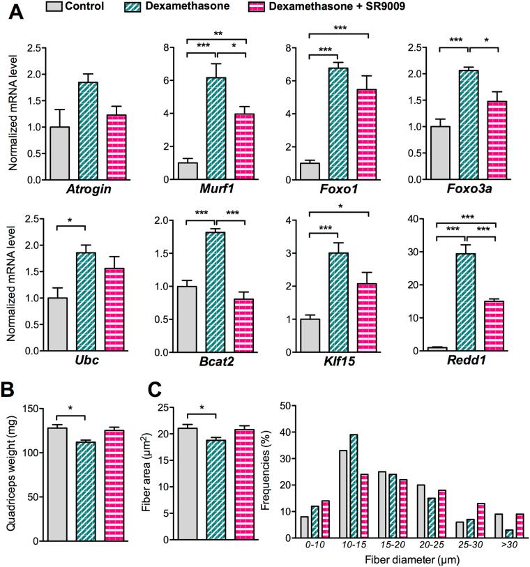 https://cdn.ncbi.nlm.nih.gov/pmc/blobs/b60e/5662766/78e87a546736/41598_2017_14596_Fig4_HTML.jpg