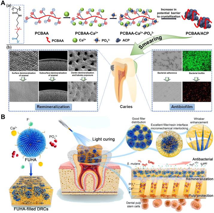 https://cdn.ncbi.nlm.nih.gov/pmc/blobs/b60f/11987509/8570dfcd3668/j_mr-2024-0035_fig_012.jpg