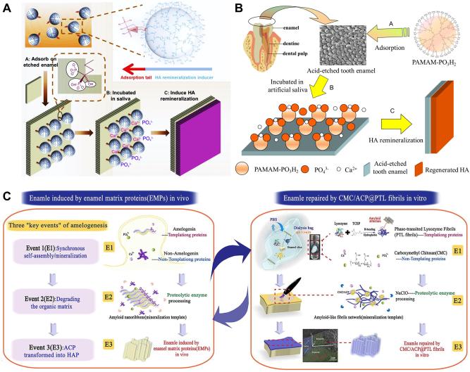 https://cdn.ncbi.nlm.nih.gov/pmc/blobs/b60f/11987509/d88e79a35493/j_mr-2024-0035_fig_009.jpg