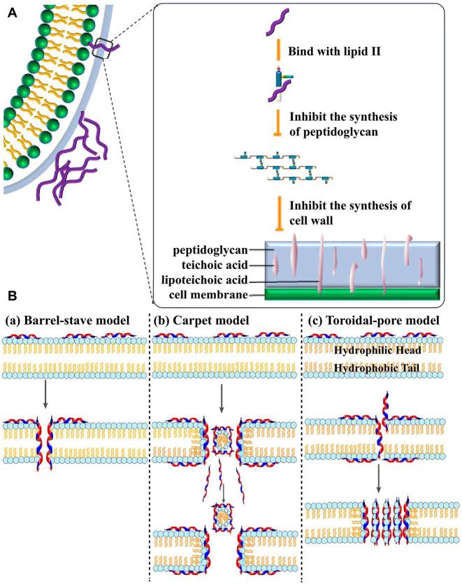 https://cdn.ncbi.nlm.nih.gov/pmc/blobs/b60f/11987509/dbd199b19bd8/j_mr-2024-0035_fig_005.jpg