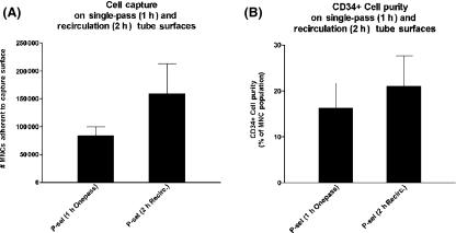 https://cdn.ncbi.nlm.nih.gov/pmc/blobs/b610/2268974/00d9a7769b70/bjh0140-0673-f5.jpg