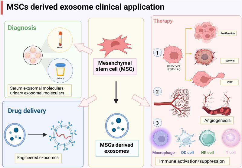 https://cdn.ncbi.nlm.nih.gov/pmc/blobs/b614/10470003/72fbc68494c5/fbioe-11-1214190-g002.jpg