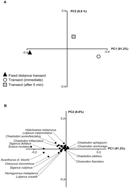 https://cdn.ncbi.nlm.nih.gov/pmc/blobs/b614/3080881/8859b31f34e8/pone.0018965.g003.jpg