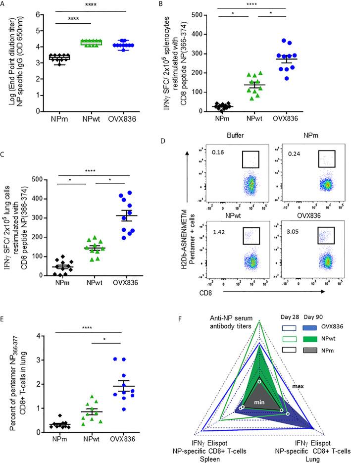 https://cdn.ncbi.nlm.nih.gov/pmc/blobs/b614/8223747/0772d45fac04/fimmu-12-678483-g002.jpg
