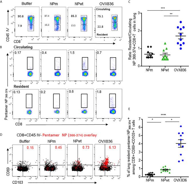 https://cdn.ncbi.nlm.nih.gov/pmc/blobs/b614/8223747/a21a30723f44/fimmu-12-678483-g005.jpg