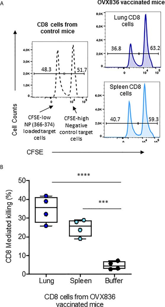 https://cdn.ncbi.nlm.nih.gov/pmc/blobs/b614/8223747/feecea0f7639/fimmu-12-678483-g006.jpg