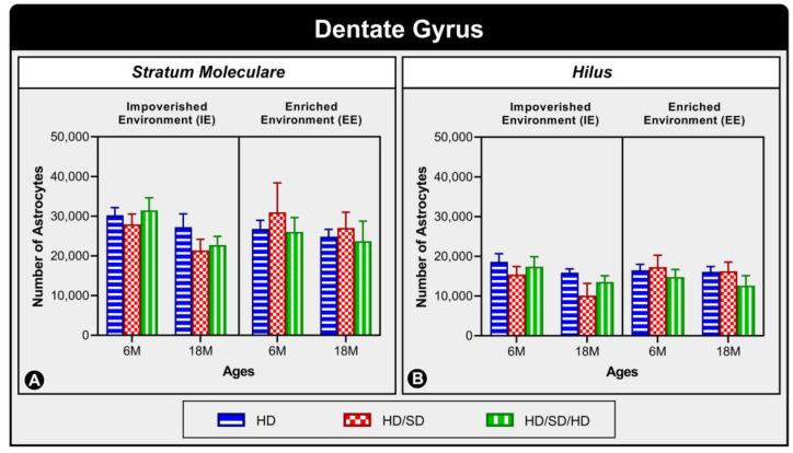 https://cdn.ncbi.nlm.nih.gov/pmc/blobs/b615/10095286/d30d3eabae90/ijms-24-06529-g001.jpg