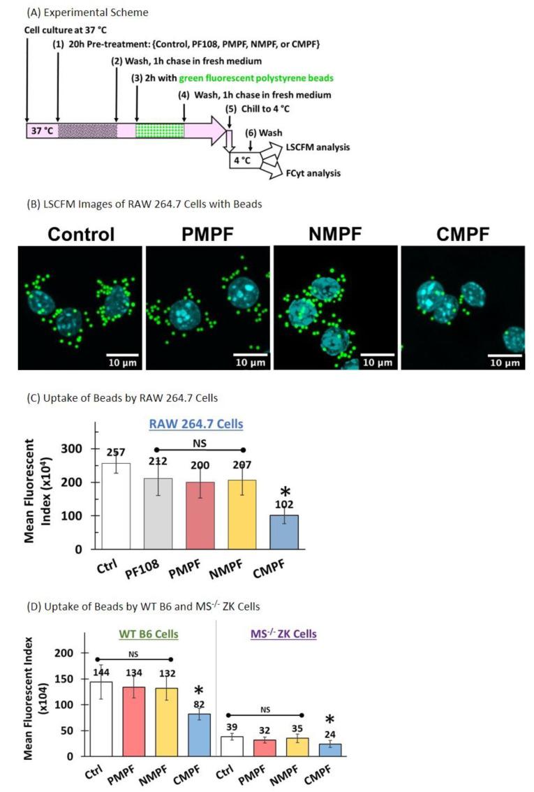 https://cdn.ncbi.nlm.nih.gov/pmc/blobs/b615/7761752/7d369f2bd146/nanomaterials-10-02417-g006.jpg