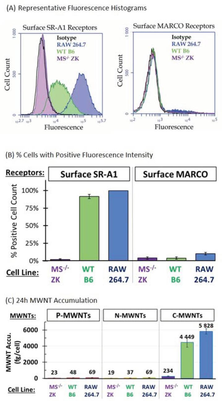 https://cdn.ncbi.nlm.nih.gov/pmc/blobs/b615/7761752/ddcc35f78fc0/nanomaterials-10-02417-g001.jpg