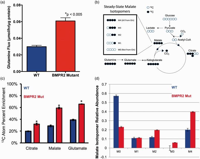 https://cdn.ncbi.nlm.nih.gov/pmc/blobs/b616/5448547/e5bb8e6f2cd9/10.1086_690236-fig2.jpg