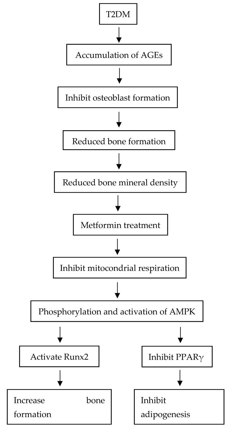 https://cdn.ncbi.nlm.nih.gov/pmc/blobs/b617/9323116/1713a4141692/jcm-11-04193-g002.jpg