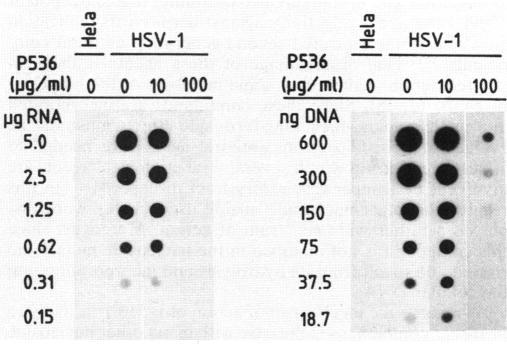 https://cdn.ncbi.nlm.nih.gov/pmc/blobs/b618/172388/286a939f626f/aac00087-0175-c.jpg