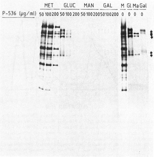 https://cdn.ncbi.nlm.nih.gov/pmc/blobs/b618/172388/93ab812a62b4/aac00087-0175-a.jpg