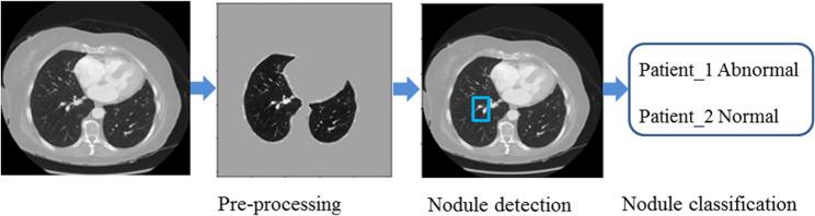 https://cdn.ncbi.nlm.nih.gov/pmc/blobs/b61a/12255105/700a4aa1cd03/12890_2025_3806_Fig1_HTML.jpg