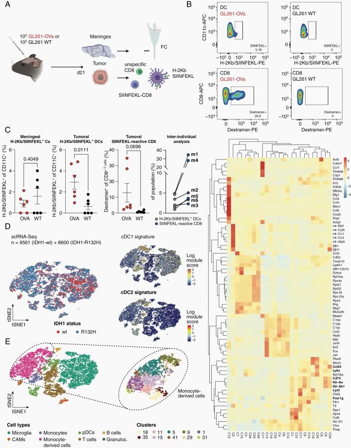 https://cdn.ncbi.nlm.nih.gov/pmc/blobs/b61a/9925697/53a5f17a6016/noac138f0002.jpg