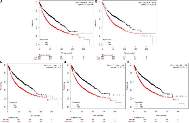 https://cdn.ncbi.nlm.nih.gov/pmc/blobs/b61b/6194157/054824c71cc6/fgene-09-00469-g008.jpg