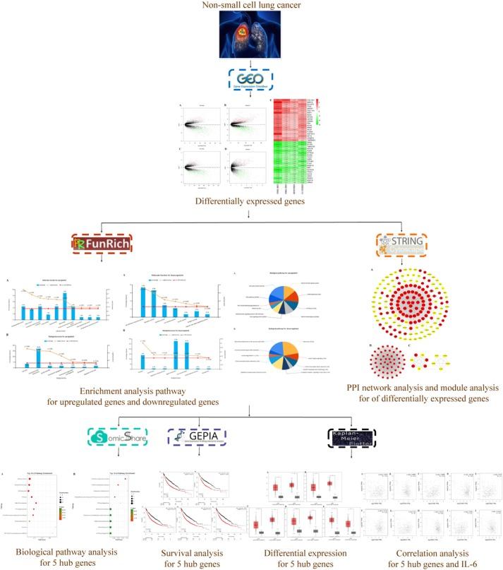 https://cdn.ncbi.nlm.nih.gov/pmc/blobs/b61b/6194157/8090ae2eb87a/fgene-09-00469-g001.jpg