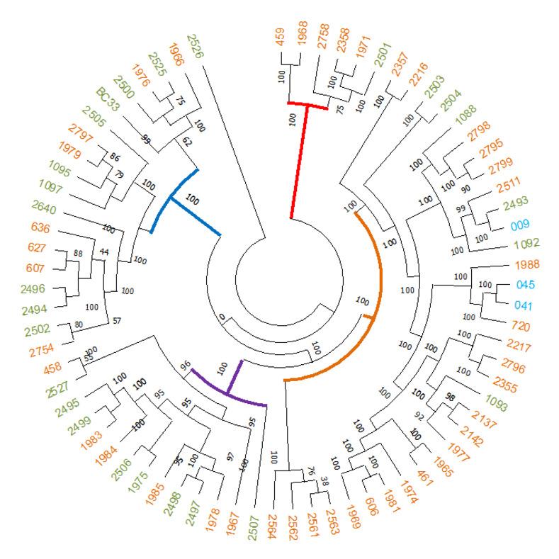 https://cdn.ncbi.nlm.nih.gov/pmc/blobs/b61b/9910686/b38ac091b120/pone.0277958.g002.jpg