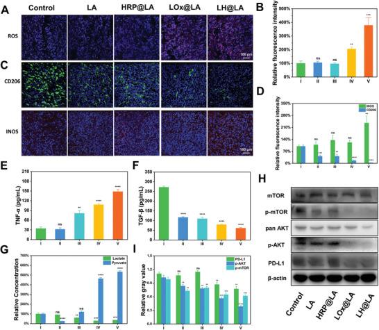 https://cdn.ncbi.nlm.nih.gov/pmc/blobs/b61d/12021032/10fbf1c6a31d/ADVS-12-2417172-g001.jpg
