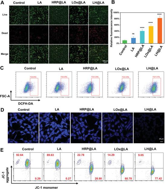 https://cdn.ncbi.nlm.nih.gov/pmc/blobs/b61d/12021032/51442f53b932/ADVS-12-2417172-g009.jpg