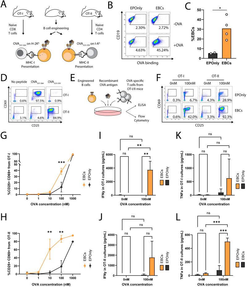 https://cdn.ncbi.nlm.nih.gov/pmc/blobs/b61e/12313569/088cb992f424/fimmu-16-1613879-g003.jpg