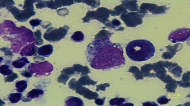 https://cdn.ncbi.nlm.nih.gov/pmc/blobs/b620/11514237/a8fe3efc69a9/41598_2024_76301_Fig3_HTML.jpg
