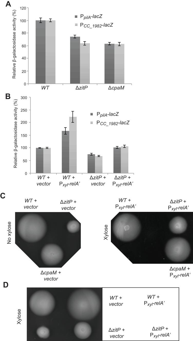 https://cdn.ncbi.nlm.nih.gov/pmc/blobs/b621/5182063/74e8cdce4300/elife-18647-fig2-figsupp2.jpg