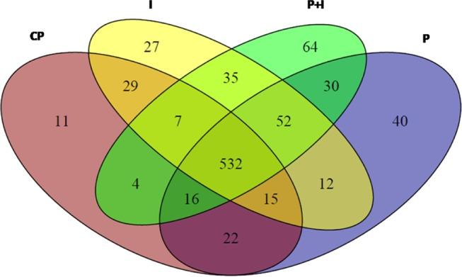 https://cdn.ncbi.nlm.nih.gov/pmc/blobs/b623/6933580/5680a22f5a4b/ao9b02512_0005.jpg