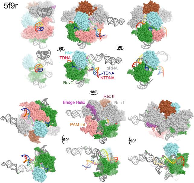 https://cdn.ncbi.nlm.nih.gov/pmc/blobs/b623/9868570/95501910064b/fmolb-09-1072733-g002.jpg