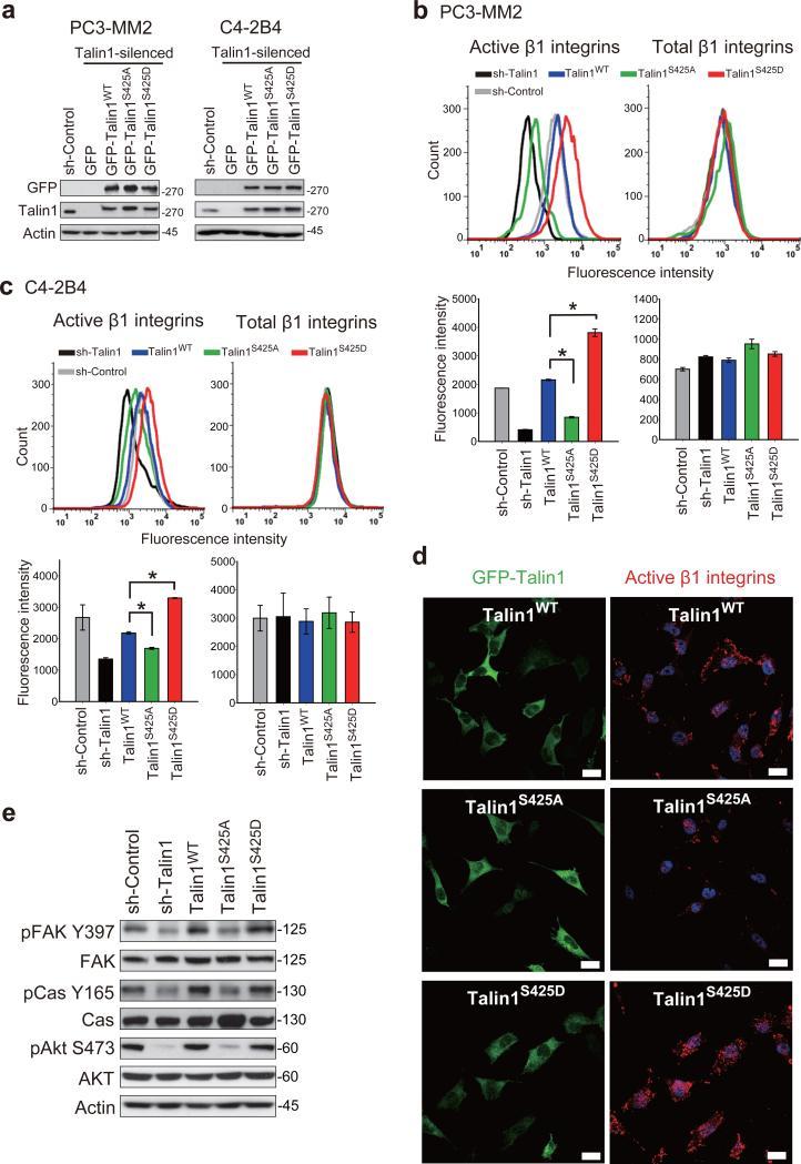 https://cdn.ncbi.nlm.nih.gov/pmc/blobs/b624/4221586/56140b296ede/nihms-579970-f0002.jpg