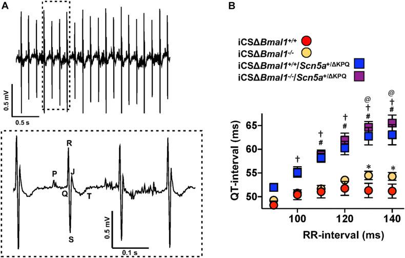 https://cdn.ncbi.nlm.nih.gov/pmc/blobs/b626/8265216/abeeab83e072/fphys-12-681011-g002.jpg