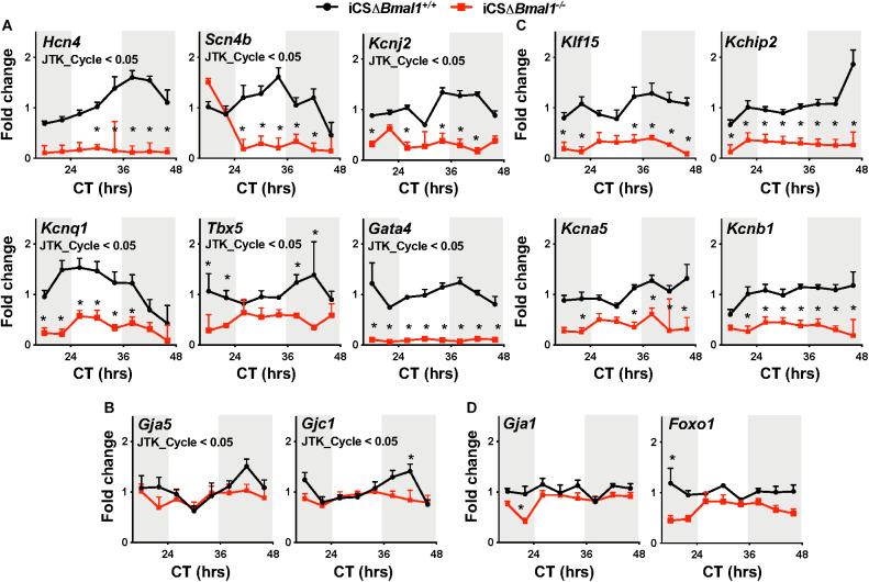 https://cdn.ncbi.nlm.nih.gov/pmc/blobs/b626/8265216/ad1ce6b6bf76/fphys-12-681011-g001.jpg