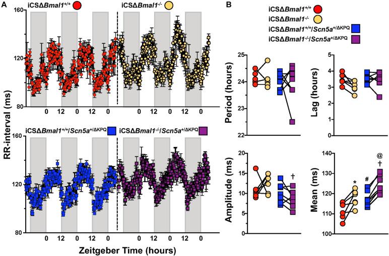 https://cdn.ncbi.nlm.nih.gov/pmc/blobs/b626/8265216/f97b7b47d519/fphys-12-681011-g003.jpg