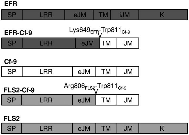 https://cdn.ncbi.nlm.nih.gov/pmc/blobs/b62a/6637901/16269db109d1/MPP-20-751-g001.jpg