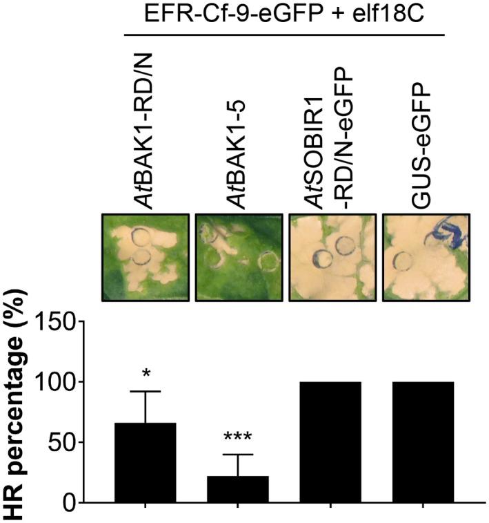 https://cdn.ncbi.nlm.nih.gov/pmc/blobs/b62a/6637901/ad3a70c62e0c/MPP-20-751-g005.jpg