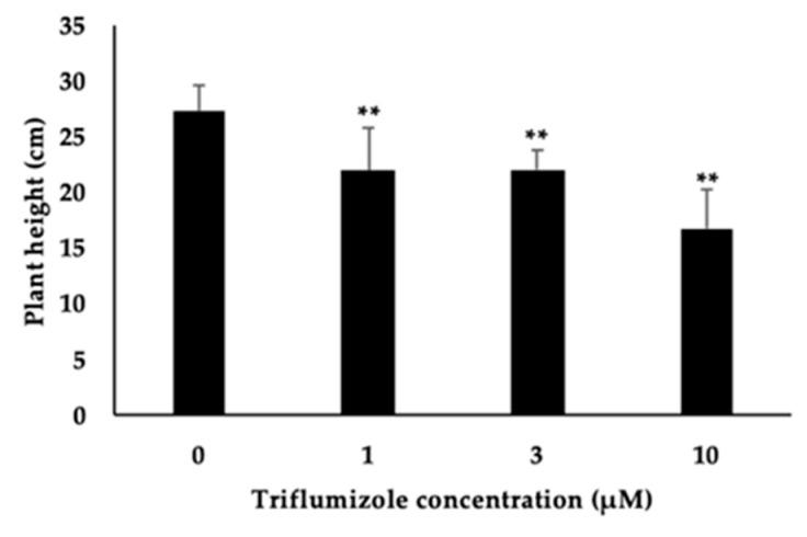 https://cdn.ncbi.nlm.nih.gov/pmc/blobs/b62a/7728069/314175f99f2a/molecules-25-05525-g005.jpg
