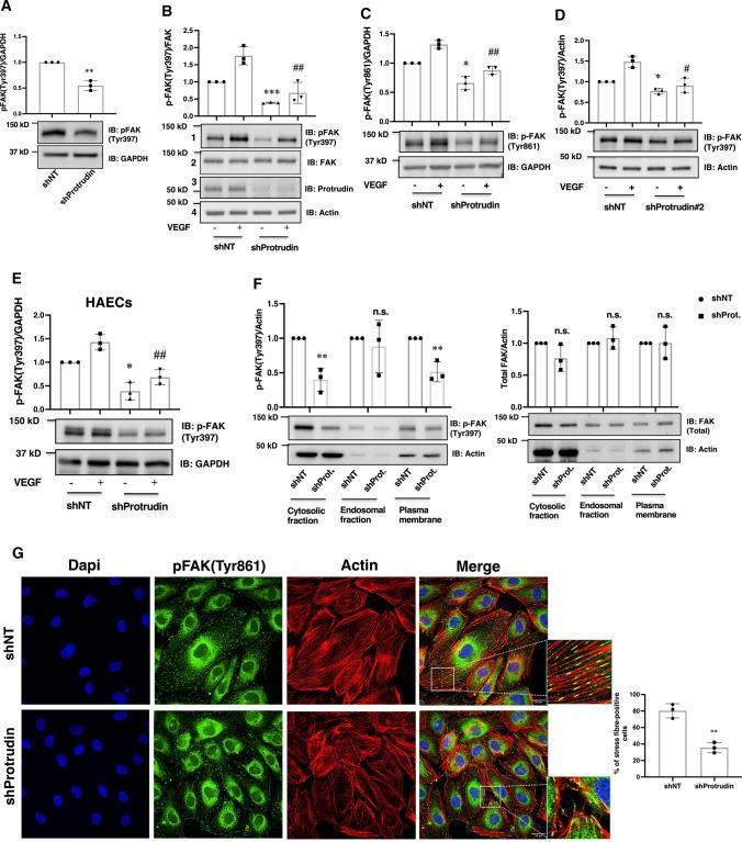 https://cdn.ncbi.nlm.nih.gov/pmc/blobs/b62e/11072948/9b6dab99d81a/18_2022_4251_Fig6_HTML.jpg